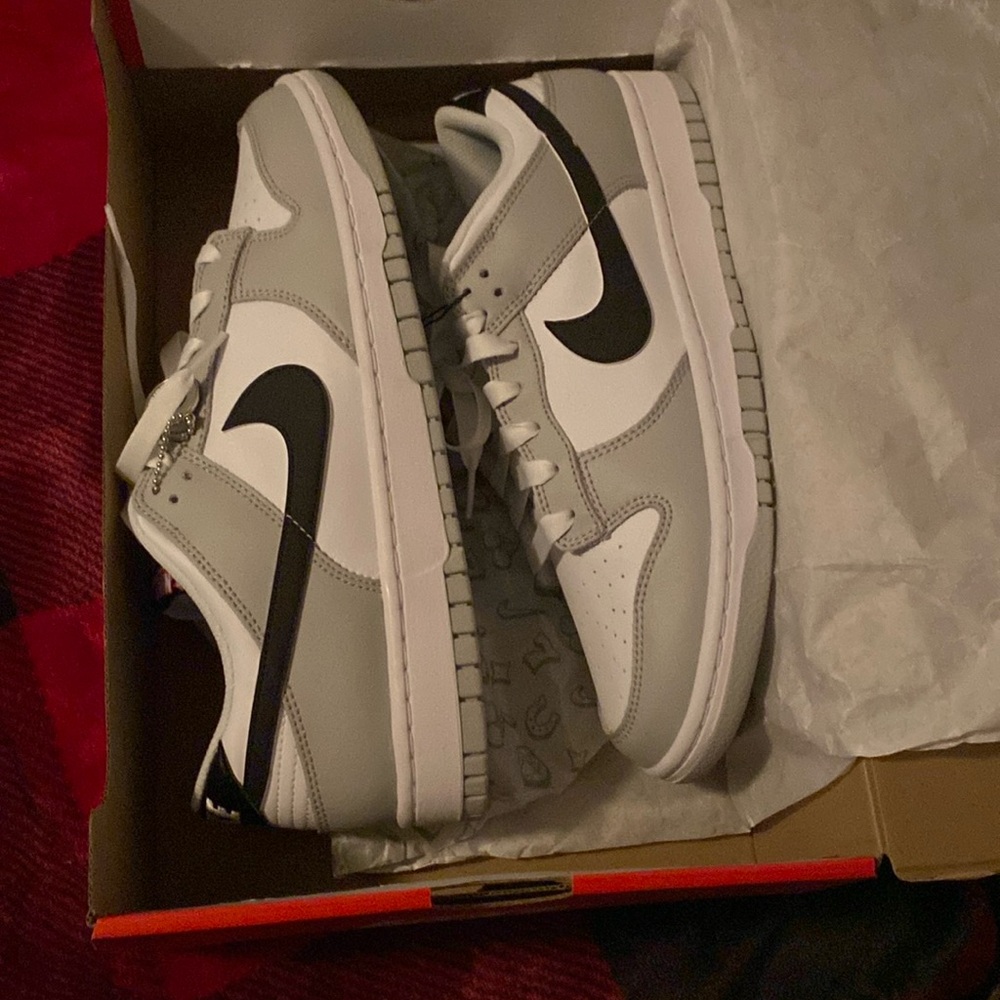 Nike dunk low retro